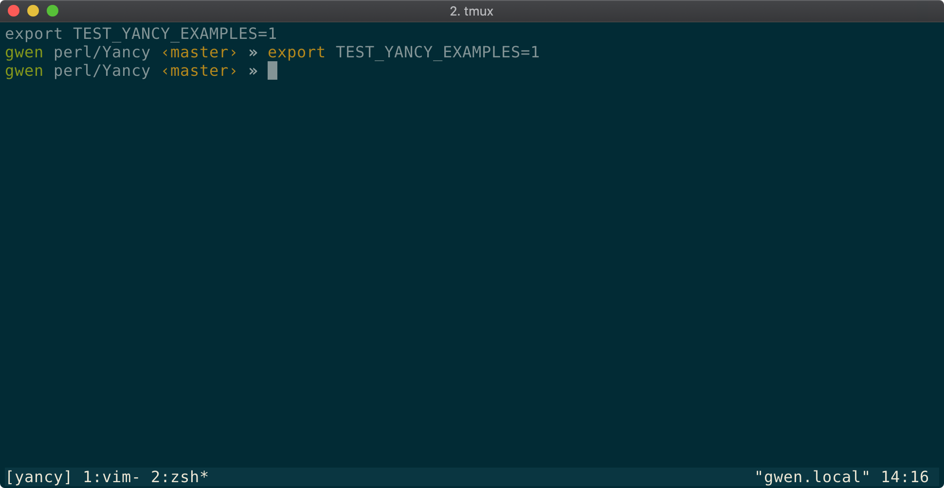 A Tmux window showing a shell with TEST_YANCY_EXAMPLES environment
variable set