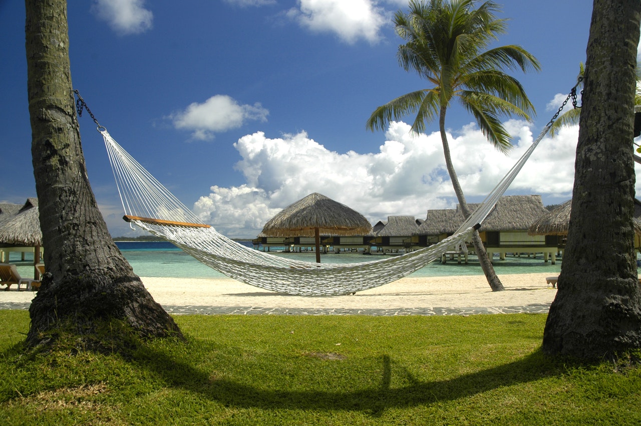 A hammock on a beach