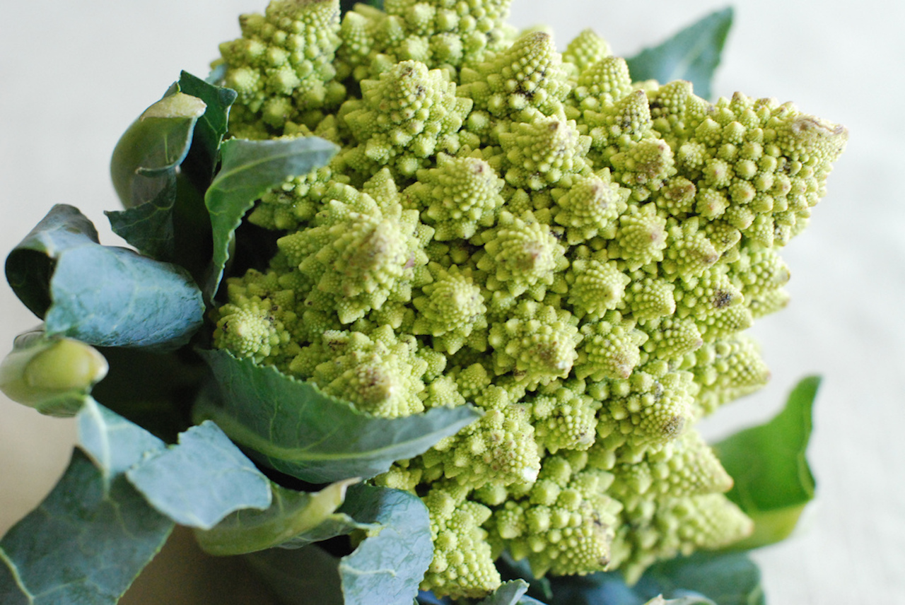 fractal cauliflower