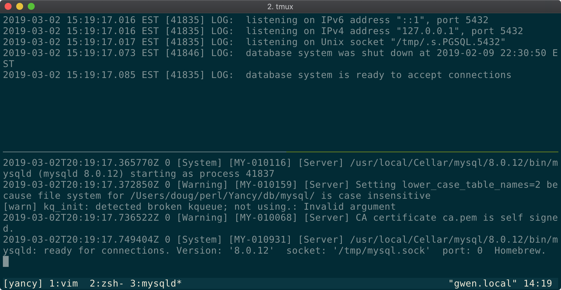 A Tmux window with two panes showing Postgres and MySQL running